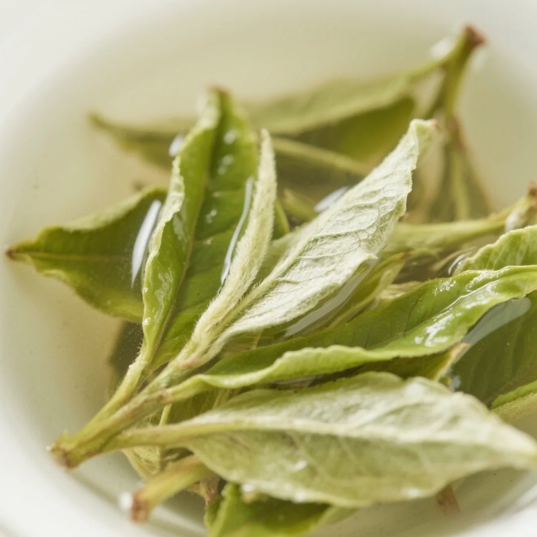 Bai Mu Dan White Tea 60g - Image 6