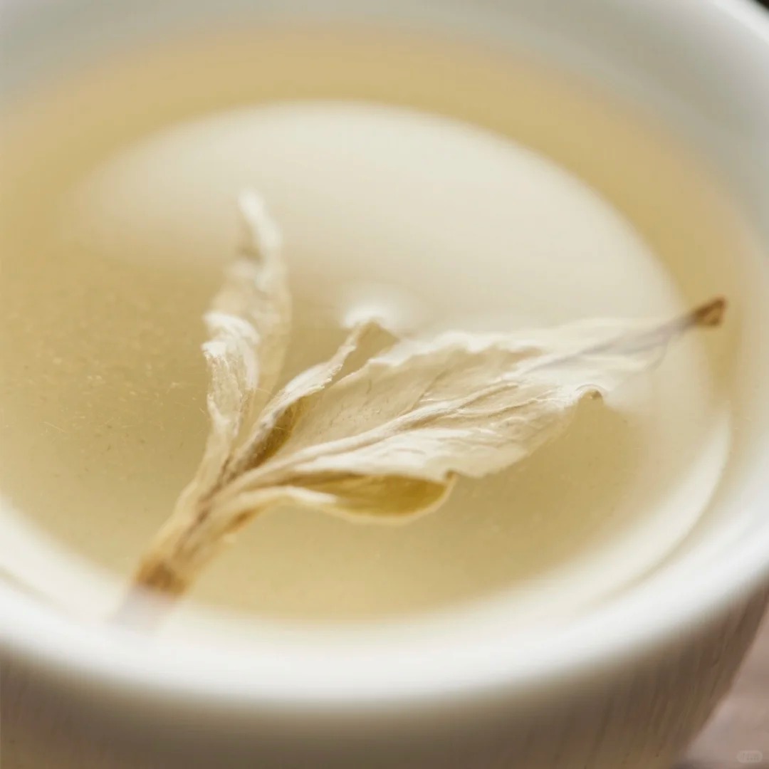 Bai Mu Dan White Tea 60g - Image 7